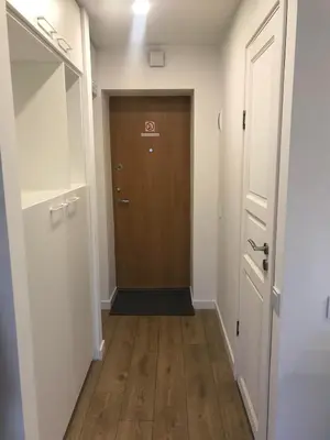 a hallway with a brown door and a wooden floor at Biliūno studio in Anykščiai