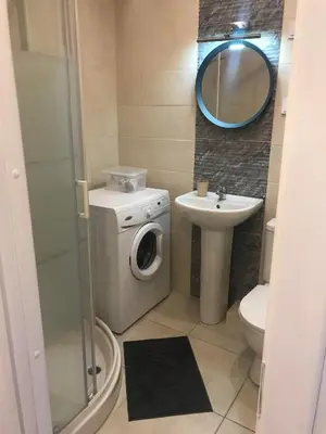 a bathroom with a washing machine and a sink at Biliūno studio in Anykščiai