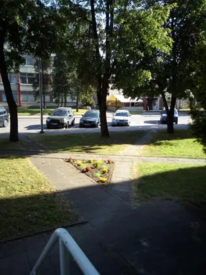 a sidewalk with cars parked on a street with trees at Anykštukas in Anykščiai