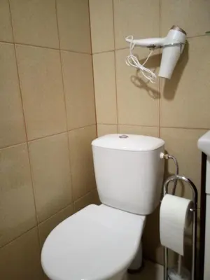 a bathroom with a white toilet and a roll of toilet paper at Anykštukas in Anykščiai