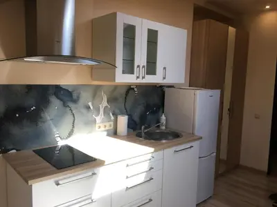 a kitchen with a sink and a refrigerator at Domina in Vilnius