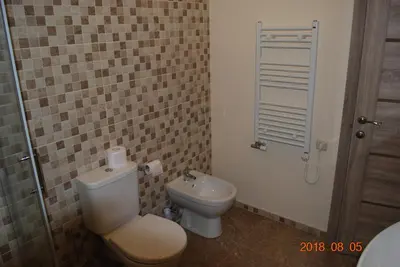 a bathroom with a toilet and a sink at Domina in Vilnius