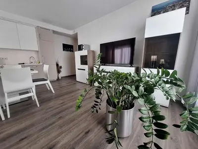 a living room with a large plant in at New apartments for your stay in Vilnius in Vilnius
