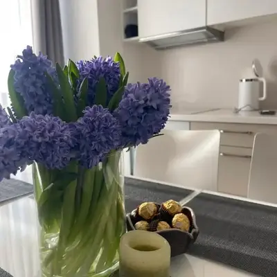 New apartments for your stay in Vilnius
