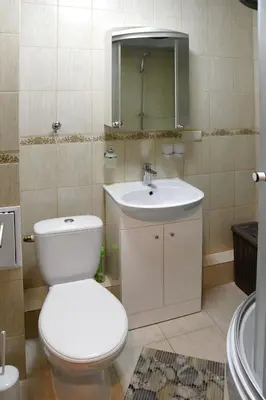 a bathroom with a white toilet and a sink at Relax Inn Druskininkai in Druskininkai