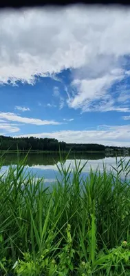 a body of water with green grass and a blue sky at Relax Inn Druskininkai in Druskininkai