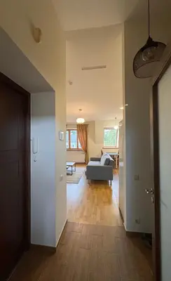 a view of a living room with a couch at Nemunas Street Apartment in Kaunas