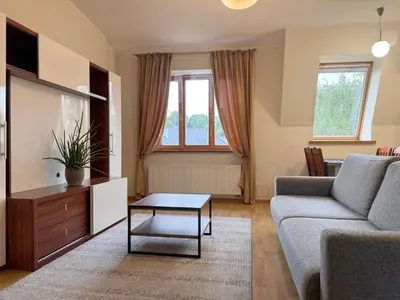 a living room with a couch and a table at Nemunas Street Apartment in Kaunas