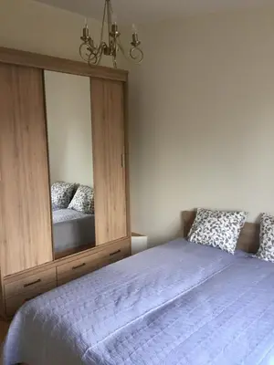 a bedroom with a bed with a large mirror at Nemunas Street Apartment in Kaunas