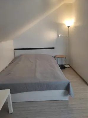a bedroom with a large bed and a lamp at Atostogų namai in Druskininkai