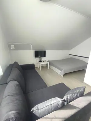 a living room with a couch and a bed at Atostogų namai in Druskininkai