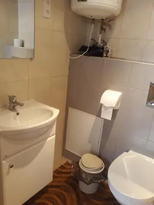 a bathroom with a sink and a toilet at Alyvos in Ignalina