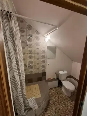 a bathroom with a shower and a toilet at A&L private rooms in Kaunas in Kaunas