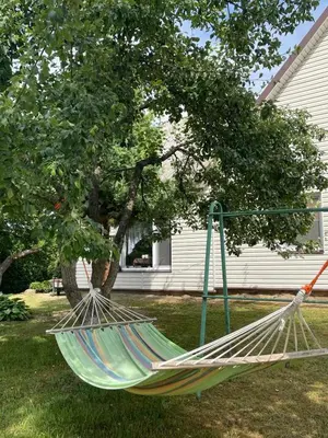 a hammock in a yard in front of a house at Česlovos sodyba in Zarasai