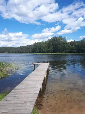 a wooden dock in the water on a lake at Česlovos sodyba in Zarasai