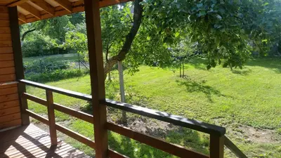 a view of a yard from the porch of a house at Vasarnamis Zarasuose in Zarasai