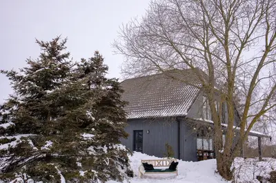 a house with a tree and a bench in the snow at Vivaldi Lake House in Meteliai