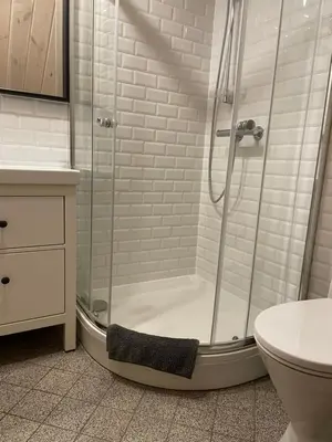 a bathroom with a shower with a toilet and a sink at Vila Rica in Ricieliai