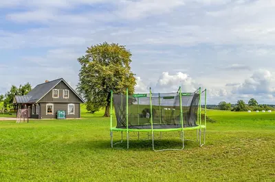 a dog is sitting on a trampoline in a field at Vila Rica in Ricieliai