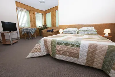 a bedroom with a large bed and a television at Drusva Apartamentai in Druskininkai