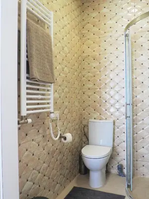 a bathroom with a toilet and a shower at Emi apartment in Vilnius