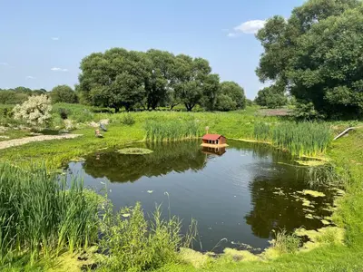 a small house in the middle of a pond at Duarto house, Sauna and Hot Tub in Šiaudinė