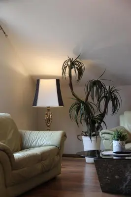 a living room with a couch and two potted plants at Senoji užeiga in Molėtai
