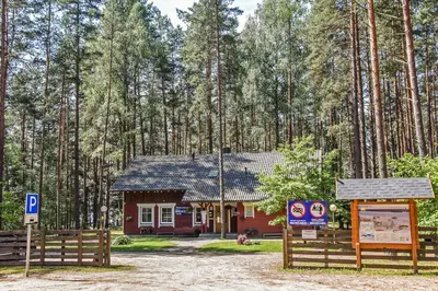 a small house in the middle of a forest at Camping Mindunai in Mindūnai