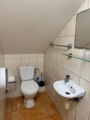 a bathroom with a toilet and a sink at Turnė Guest House in Šiauliai