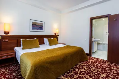 a hotel room with a large bed and a bathroom at Hotel Violeta in Druskininkai