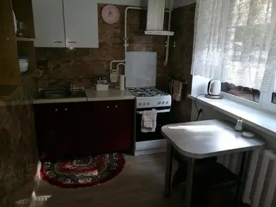 a small kitchen with a stove and a sink at Tėjos guest house in Šiauliai