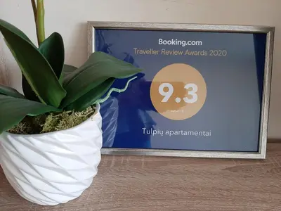 a plant in a white vase next to a sign at Tulpių apartamentai in Panevėžys