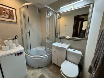 a bathroom with a shower and a toilet and a sink at Apartamentai Dainų in Šiauliai