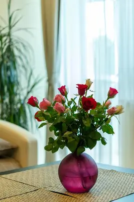 a purple vase filled with red roses on a table at Du draugai 1 in Druskininkai