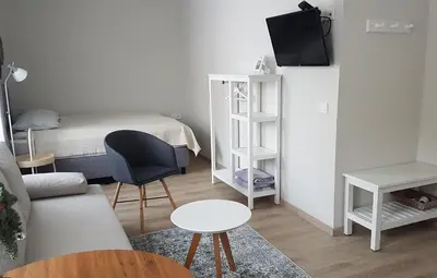 a living room with a bed and a couch and a table at Centro apartamentai in Birštonas