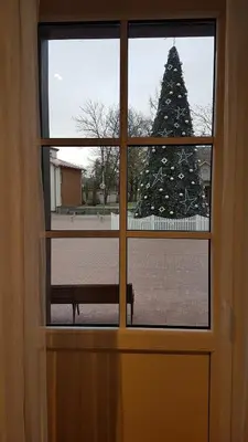 a view of a christmas tree through a window at Centro apartamentai in Birštonas