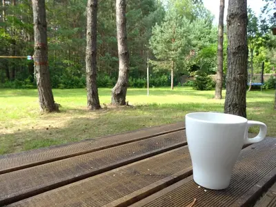 a white coffee cup sitting on a wooden table at forest-house lt in Druskininkai