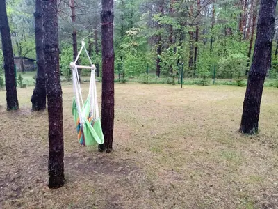 a hammock hanging between two trees in a park at forest-house lt in Druskininkai