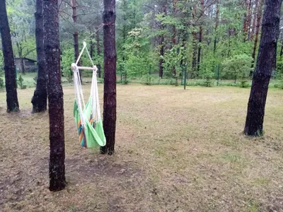 a hammock hanging between two trees in a forest at forest-house lt in Druskininkai