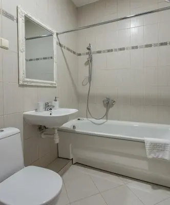 a bathroom with a tub and a sink and a toilet at Violetos Lux Apartamentai2 in Druskininkai