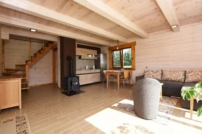 a living room with a couch and a stove at Vip Forest dreams villa in Anykščiai