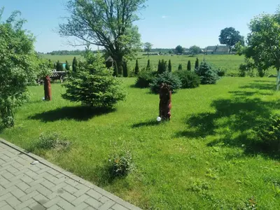 a yard with a fire hydrant in the grass at Edmart in Dobromislė