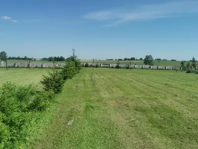 a field with trees in the middle of a field at Edmart in Dobromislė
