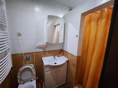 a bathroom with a toilet and a sink and a mirror at Sodyba 