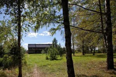 a house in the middle of a field with trees at Love Island 2 in Druskininkai