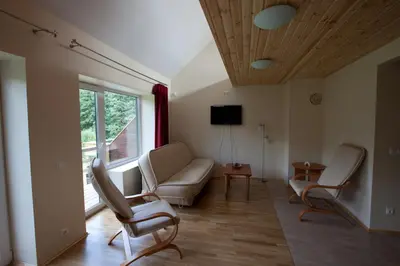 a living room with a couch and chairs and a tv at Love Island 2 in Druskininkai