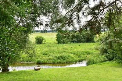 a stream in a field next to a field with trees at Holiday Homes Eliza in Druskininkai