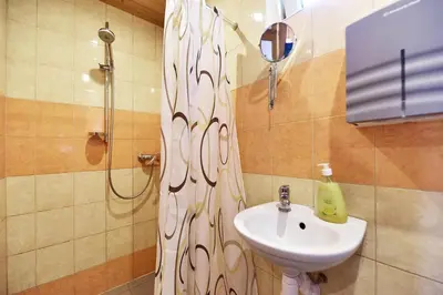 a bathroom with a shower and a sink at Holiday Homes Eliza in Druskininkai