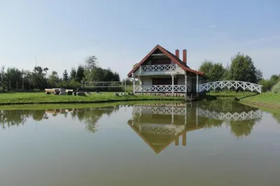 a house with a bridge over a body of water at Sodyba pas Olgą in Mickūnai