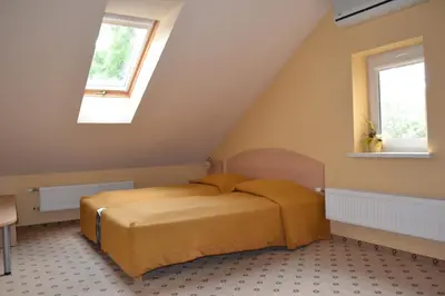 a bedroom with a bed and a window at Vila Evelina in Druskininkai